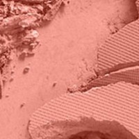 Румяна для лица MAC Sheerstone Blush Peaches фото №2 — интернет-магазин Desire.md