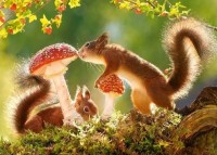 Пазл Castorland 260 Squirrel's Forest Life (B-27521)