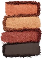 Тени для век Estee Lauder Pure Color Envy Luxe 08 Wild Earth фото №2 — интернет-магазин Desire.md