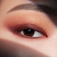 Тени для век Estee Lauder Pure Color Envy Luxe 08 Wild Earth фото №3 — интернет-магазин Desire.md