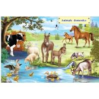 Carte cu sunete Dorința Animale 29x20cm imaginea #3 — magazin online Desire.md