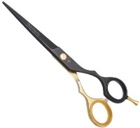 Foarfece pentru frizeri SDB (1022BG-60) imaginea #1 — magazin online Desire.md