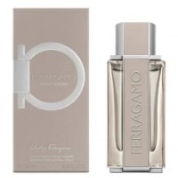 Parfum pentru el Salvatore Ferragamo Bright Leather EDT 100ml imaginea #2 — magazin online Desire.md