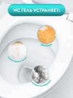 Detergent pentru obiecte sanitare DutyBox WC (db-1011)