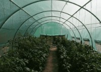 Seră Tehno MS 10001435 imaginea #3 — magazin online Desire.md