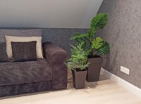 Ghiveci M Plastik Тубус М3178 imaginea #3 — magazin online Desire.md