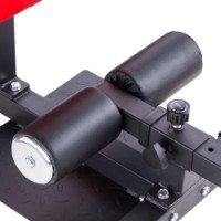 Скамья для силовых упражнений Insportline Sissy Squat Bench (21715) фото №5 — интернет-магазин Desire.md