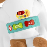 Jucarii interactive Fisher Price Crawl With Me Puppy (HHH95) imaginea #4 — magazin online Desire.md