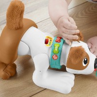 Jucarii interactive Fisher Price Crawl With Me Puppy (HHH95) imaginea #5 — magazin online Desire.md
