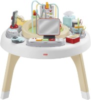 Dezvoltarea centrului de joc Fisher-Price 2in1 (HBM26)