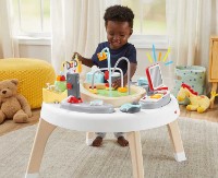 Развивающий игровой центр Fisher-Price 2in1 (HBM26) фото №4 — интернет-магазин Desire.md