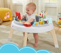 Развивающий игровой центр Fisher-Price 2in1 (HBM26) фото №5 — интернет-магазин Desire.md
