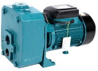 Садовый насос Micul Fermier GF-2056 фото №1 — интернет-магазин Desire.md