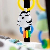 Прыгунки Graco Bumper Jumper Bear Trail фото №4 — интернет-магазин Desire.md