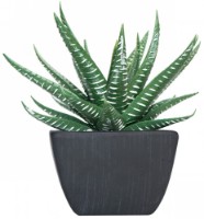 Floare decorativă Casa Masa 10x12cm (8926401100)