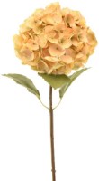 Декоративный цветок Casa Masa 80cm (L19220/CR)