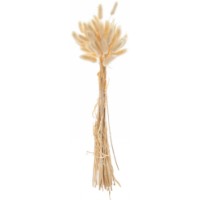 Floare decorativă Casa Masa Lagurus 50pcs (6005-1)