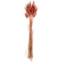 Floare decorativă Casa Masa Lagurus 50pcs (6005-12)