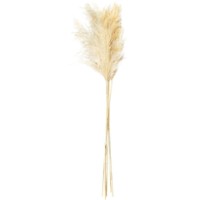 Floare decorativă Casa Masa M 6pcs (71808-650)