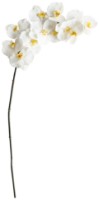 Floare decorativă Casa Masa Orhidee 110cm (110334WW)