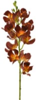 Floare decorativă Casa Masa Orhidee Cymbidium 47cm (L19607/BR)