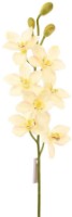 Floare decorativă Casa Masa Orhidee Cymbidium 94cm (L19601/CR)