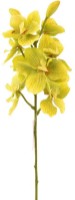 Floare decorativă Casa Masa Orhidee Vanda 68cm (L19605/DGR)