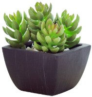 Floare decorativă Casa Masa 10x14cm (8923800000)