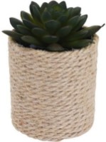 Декоративный цветок Deco 14x8cm (41704)