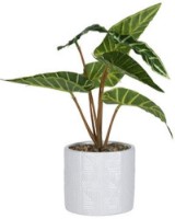 Декоративный цветок Store Art 25cm (47525)