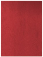 Coperta pentru legarea Ecada A4/100pcs Red 41401R