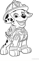 Пазл Trefl 2in1 Paw Patrol (43004) фото №3 — интернет-магазин Desire.md