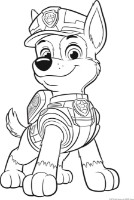 Пазл Trefl 2in1 Paw Patrol (43004) фото №4 — интернет-магазин Desire.md