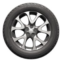 Шина Rosava Premiorri ViaMaggiore Z Plus 215/60 R17 98H фото №2 — интернет-магазин Desire.md