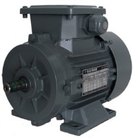 Motor electric GAMAK GM 225 (G3701504)