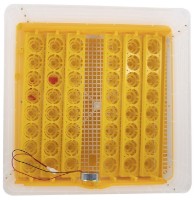 Инкубатор Micul Fermier GF-1257 фото №3 — интернет-магазин Desire.md