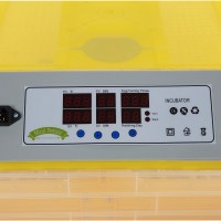 Инкубатор Micul Fermier GF-1257 фото №4 — интернет-магазин Desire.md