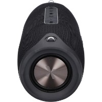 Портативная акустика Maxcom MX216 Black фото №2 — интернет-магазин Desire.md