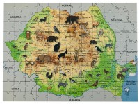 Пазл ChiToys (TOF-XP24 ) фото №3 — интернет-магазин Desire.md