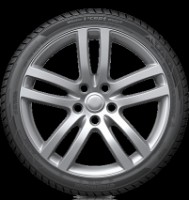 Шина Hankook Winter i*Cept Evo2 W320 205/60 R16 92H фото №2 — интернет-магазин Desire.md