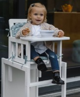 Стульчик для кормления Eucalyptus Holly Vanilla (DS2-M02) фото №3 — интернет-магазин Desire.md