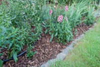 Микрокапельный полив Rehau Set 50m фото №3 — интернет-магазин Desire.md