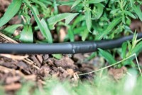 Микрокапельный полив Rehau Set 50m фото №4 — интернет-магазин Desire.md