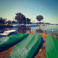 Prelată Greentech 150gr (15x20) Green imaginea #3 — magazin online Desire.md