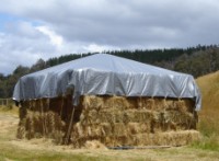 Prelată Greentech 250gr (10x12) Silver imaginea #2 — magazin online Desire.md