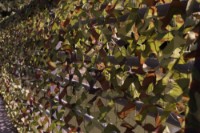 Gard artificial Focteh Camo Green 210153 (1.5x3)