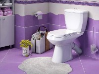 Vas WC Оскольская керамика Элисса стандарт белый imaginea #2 — magazin online Desire.md