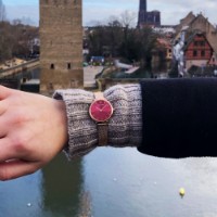 Наручные часы Pierre Lannier 014J958 фото №2 — интернет-магазин Desire.md