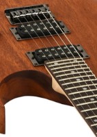 Электрическая гитара Ibanez RG421 MOL (Mahogany Oil)