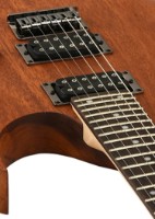 Электрическая гитара Ibanez RG421 MOL (Mahogany Oil) фото №3 — интернет-магазин Desire.md